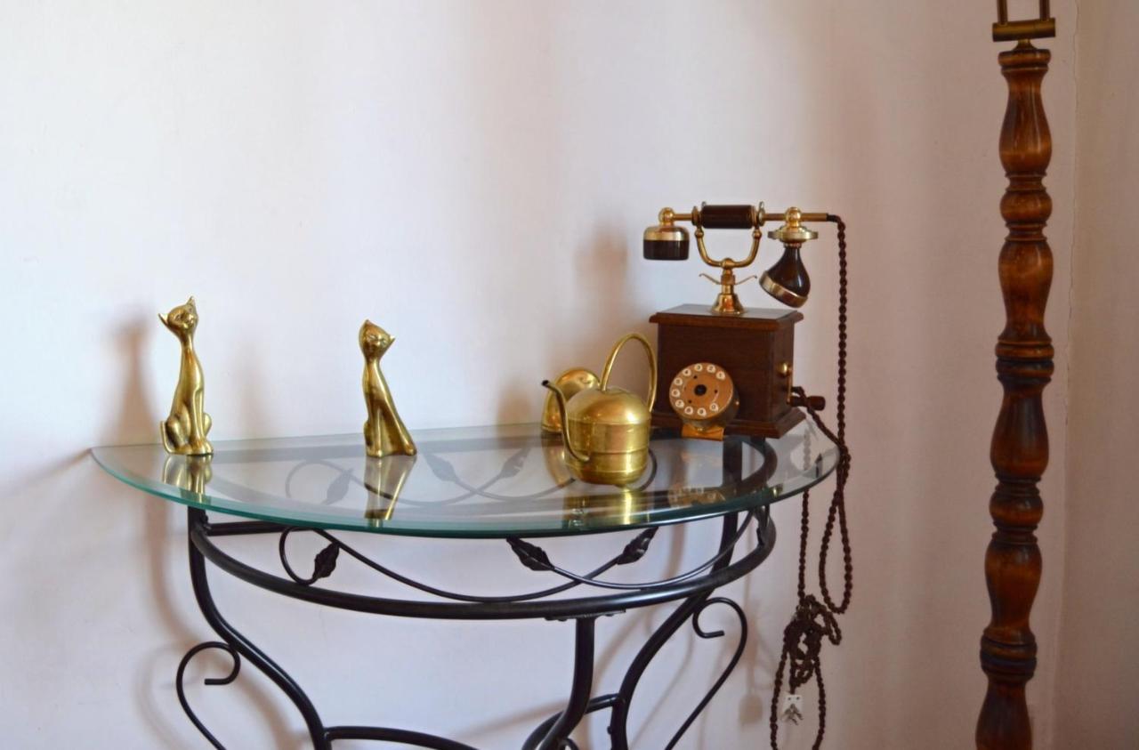 Comme Chez Mamie Albi - Terrasse - Proche Centre Διαμέρισμα Εξωτερικό φωτογραφία